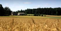 Rajd Przniczka